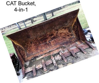 CAT Bucket, 4-in-1