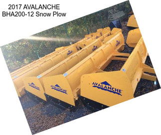 2017 AVALANCHE BHA200-12 Snow Plow