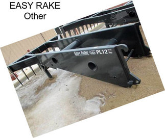 EASY RAKE Other