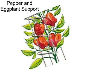 Pepper and Eggplant Support