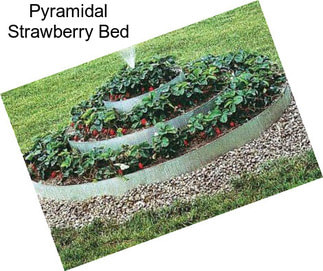 Pyramidal Strawberry Bed