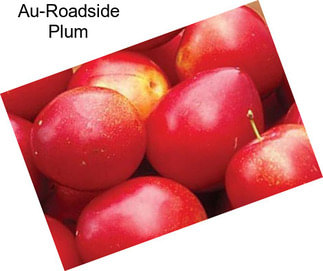 Au-Roadside Plum