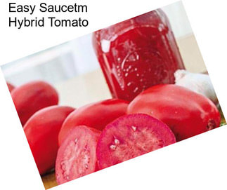 Easy Saucetm Hybrid Tomato