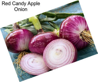 Red Candy Apple Onion