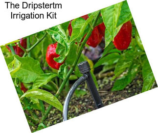 The Dripstertm Irrigation Kit