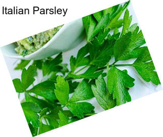 Italian Parsley