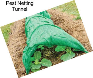 Pest Netting Tunnel