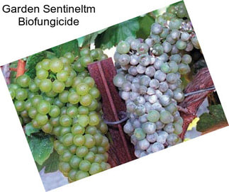 Garden Sentineltm Biofungicide