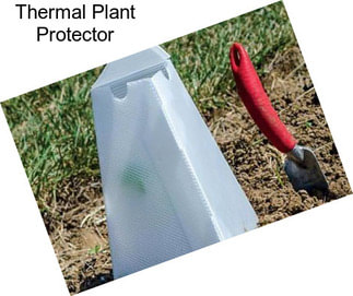 Thermal Plant Protector