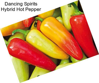 Dancing Spirits Hybrid Hot Pepper