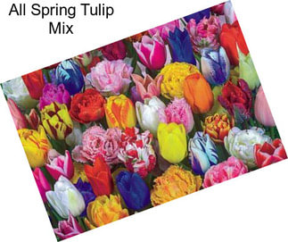 All Spring Tulip Mix