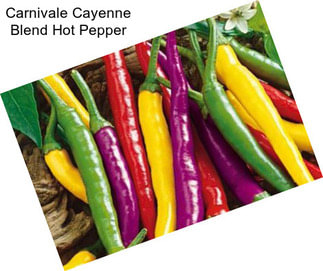 Carnivale Cayenne Blend Hot Pepper