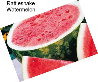 Rattlesnake Watermelon