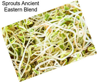 Sprouts Ancient Eastern Blend