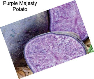 Purple Majesty Potato