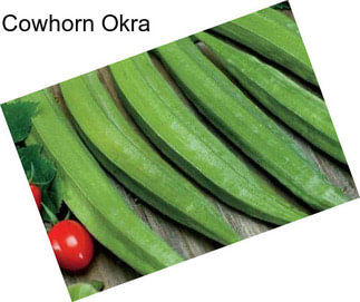 Cowhorn Okra