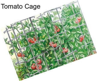 Tomato Cage