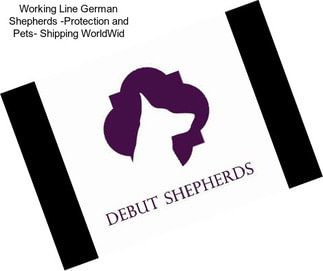 Working Line German Shepherds -Protection and Pets- Shipping WorldWid