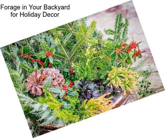 Forage in Your Backyard for Holiday Decor