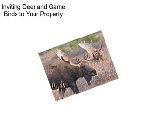 Inviting Deer and Game Birds to Your Property