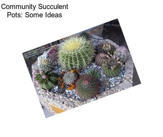 Community Succulent Pots: Some Ideas