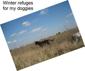 Winter refuges for my doggies