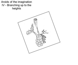 Aroids of the imagination IV - Branching up to the heights