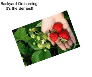 Backyard Orcharding: It\'s the Berries!!