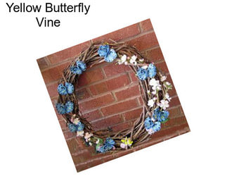 Yellow Butterfly Vine