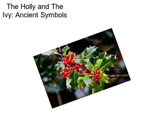 The Holly and The Ivy: Ancient Symbols