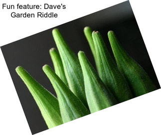 Fun feature: Dave\'s Garden Riddle