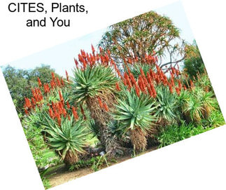 CITES, Plants, and You