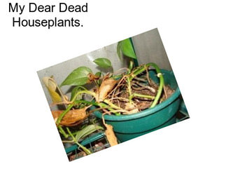 My Dear Dead Houseplants.