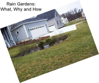 Rain Gardens: What, Why and How