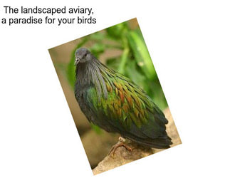 The landscaped aviary, a paradise for your birds