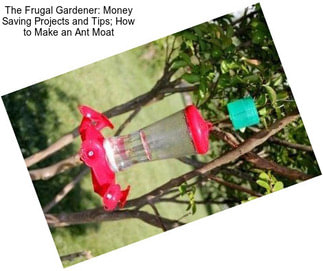 The Frugal Gardener: Money Saving Projects and Tips; How to Make an Ant Moat