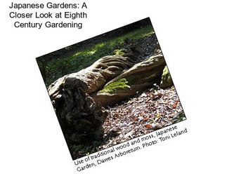 Japanese Gardens: A Closer Look at Eighth Century Gardening