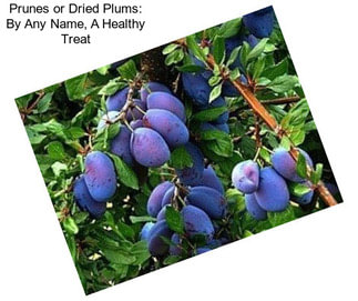 Prunes or Dried Plums: By Any Name, A Healthy Treat