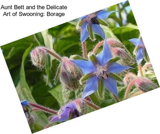 Aunt Bett and the Delicate Art of Swooning: Borage