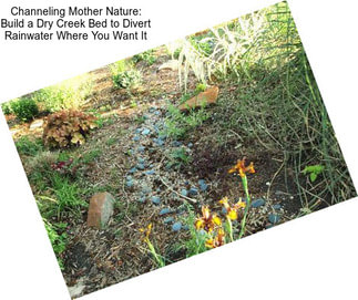 Channeling Mother Nature: Build a Dry Creek Bed to Divert Rainwater Where You Want It