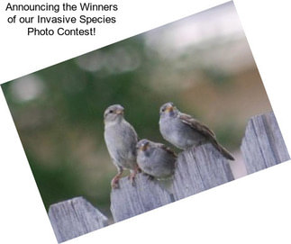Announcing the Winners of our Invasive Species Photo Contest!