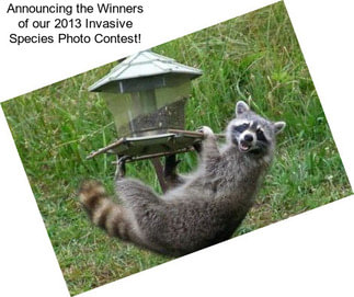 Announcing the Winners of our 2013 Invasive Species Photo Contest!