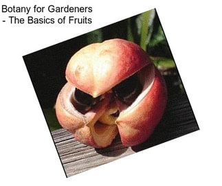 Botany for Gardeners - The Basics of Fruits