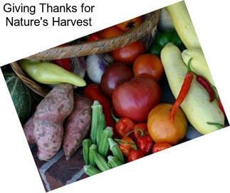 Giving Thanks for Nature\'s Harvest