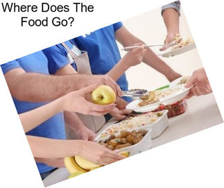 Where Does The Food Go?
