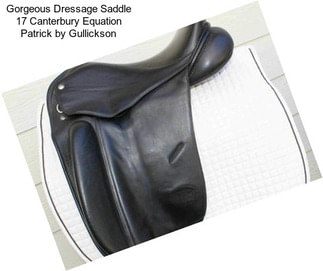 Gorgeous Dressage Saddle 17\