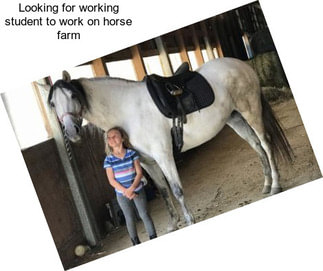 Looking for working student to work on horse farm