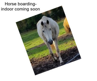 Horse boarding- indoor coming soon