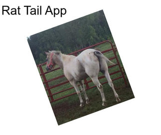 Rat Tail App