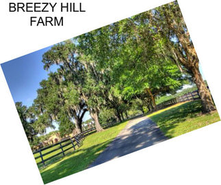 BREEZY HILL FARM